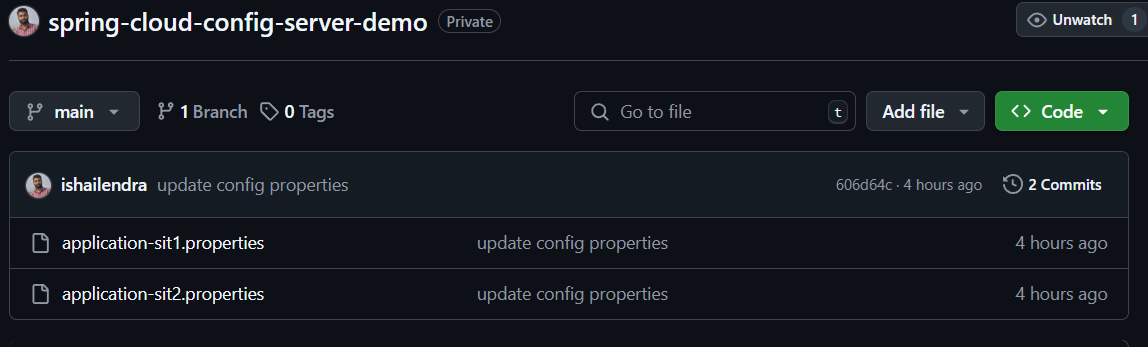 Git screenshot of config properties file